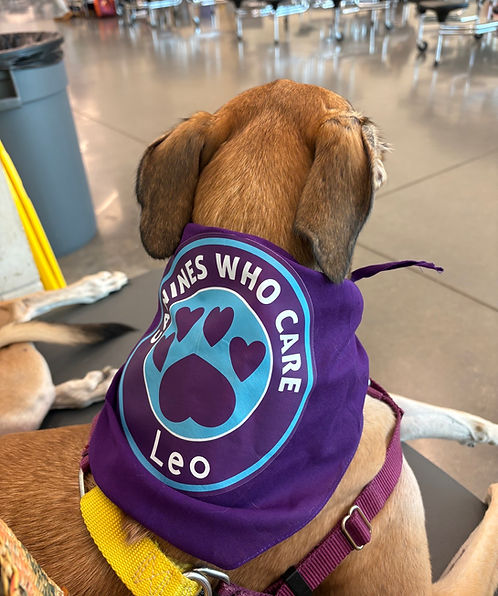 Canines Who Care therapy dog team