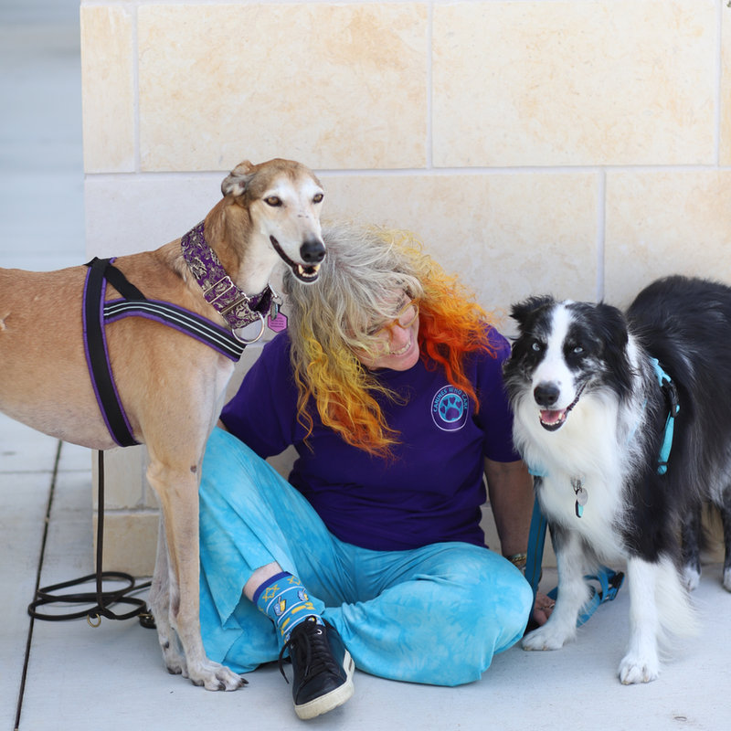 Jyl with Leo & Dash — Canines Who Care therapy dog team