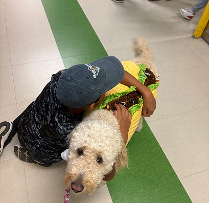 Therapy dog visit at a school