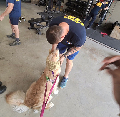 Therapy dog visit at a hospital or fire station