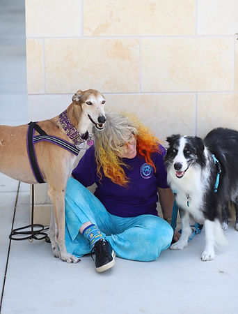 Therapy dog team